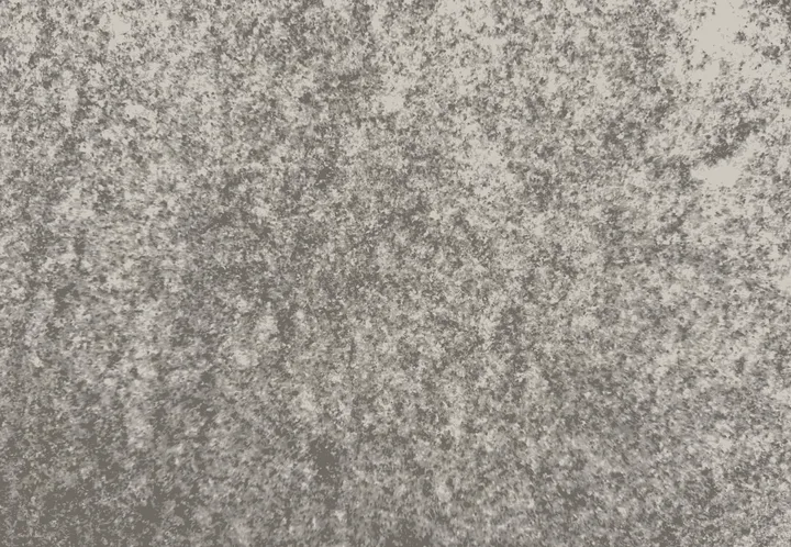 65 x 45 Viscont White brændt, Granit